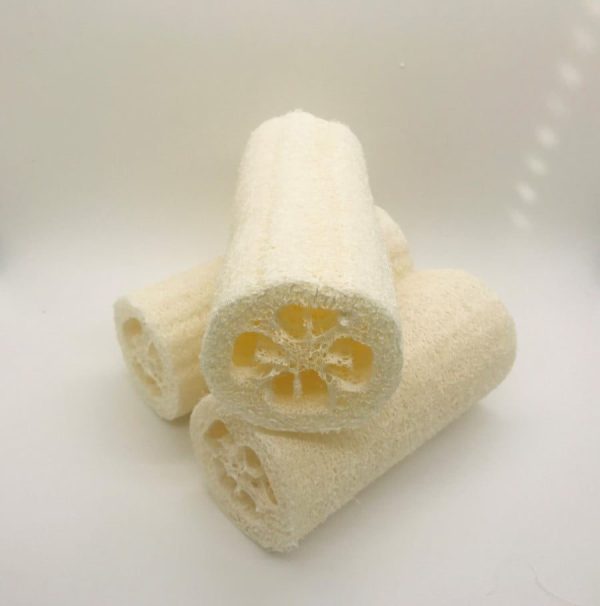 Loofah - 4 - Loofah For Bathing - Suds N Scents