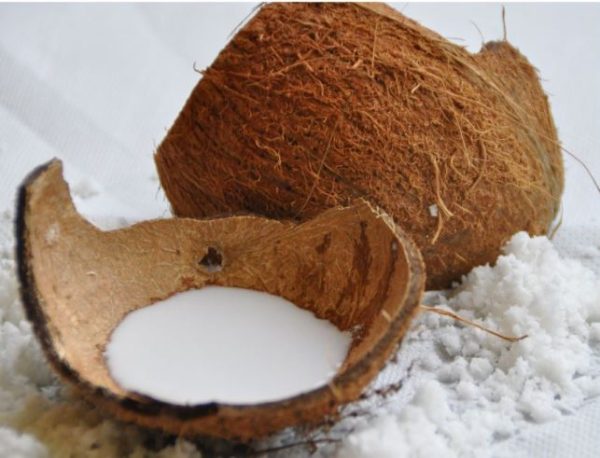 Coconut Milk Powder - 100% Organic - Suds N Scents