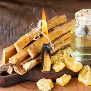 Palo Santo - Fragrance Oil - Suds N Scents