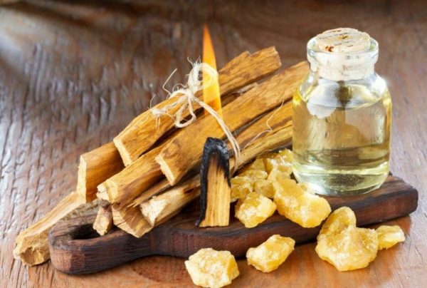 Palo Santo - Fragrance Oil - Suds N Scents