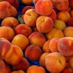 Peach Perfection - Fragrance Oil - Suds N Scents