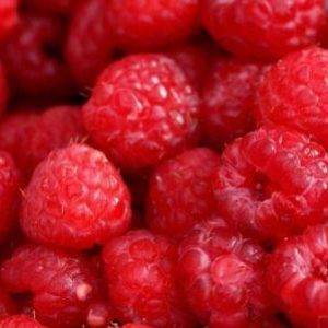 Raspberry FO - Fragrance Oil - Suds N Scents