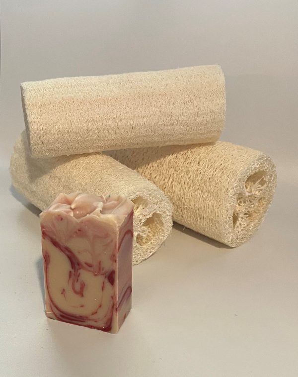 Cherry Fizz Soap Bars - Suds N Scents